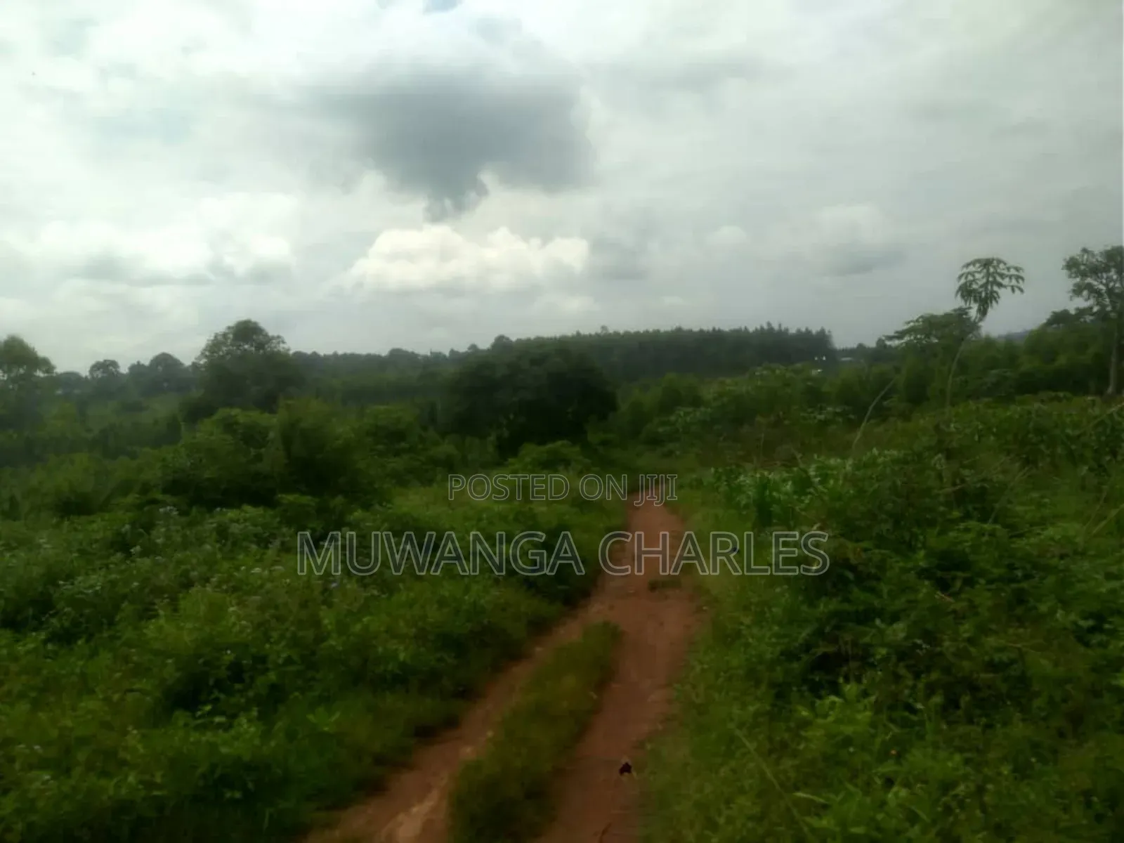 Land for Sale in Luwero in Butuntumula
