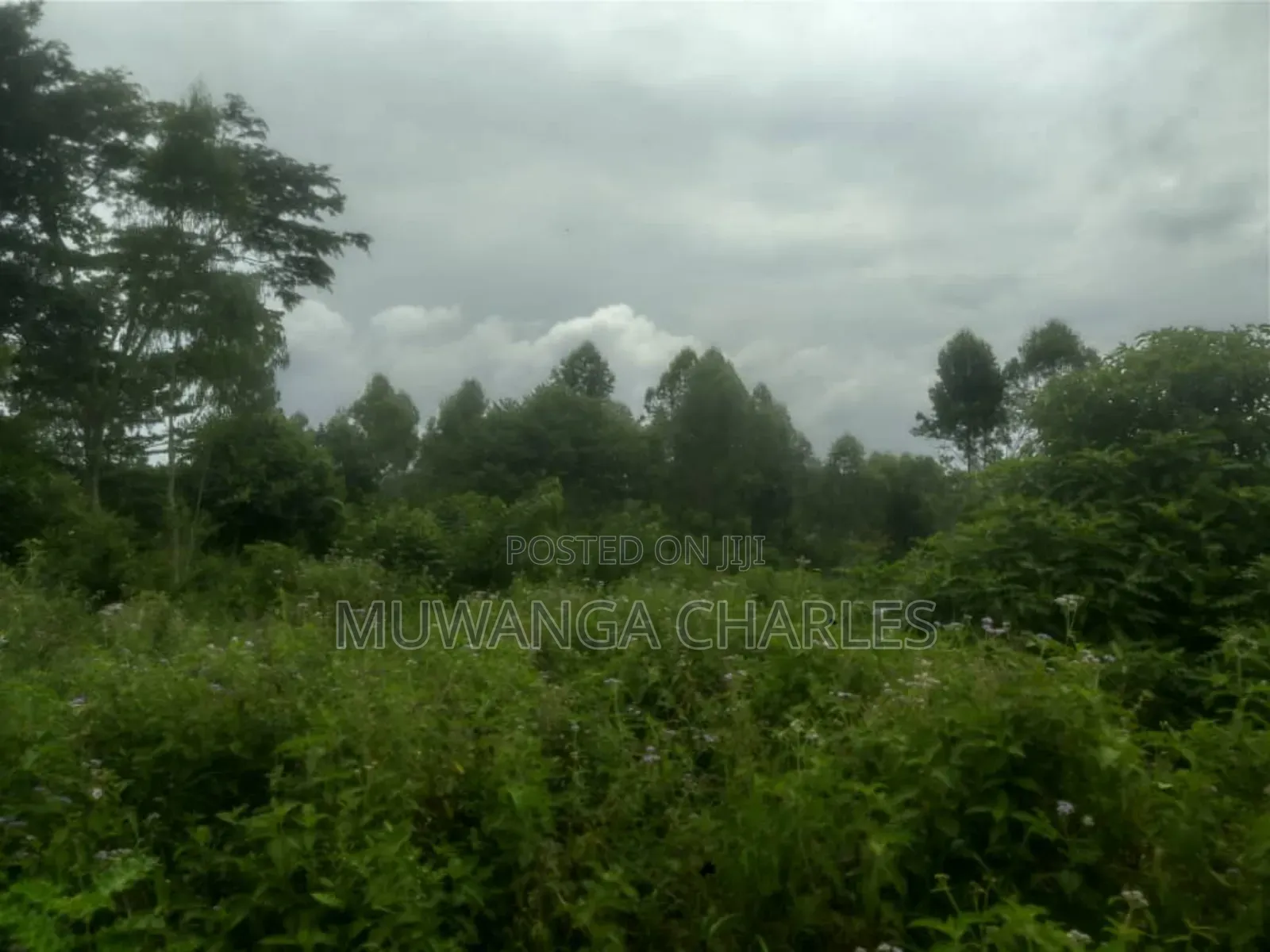 Land for Sale in Luwero in Butuntumula