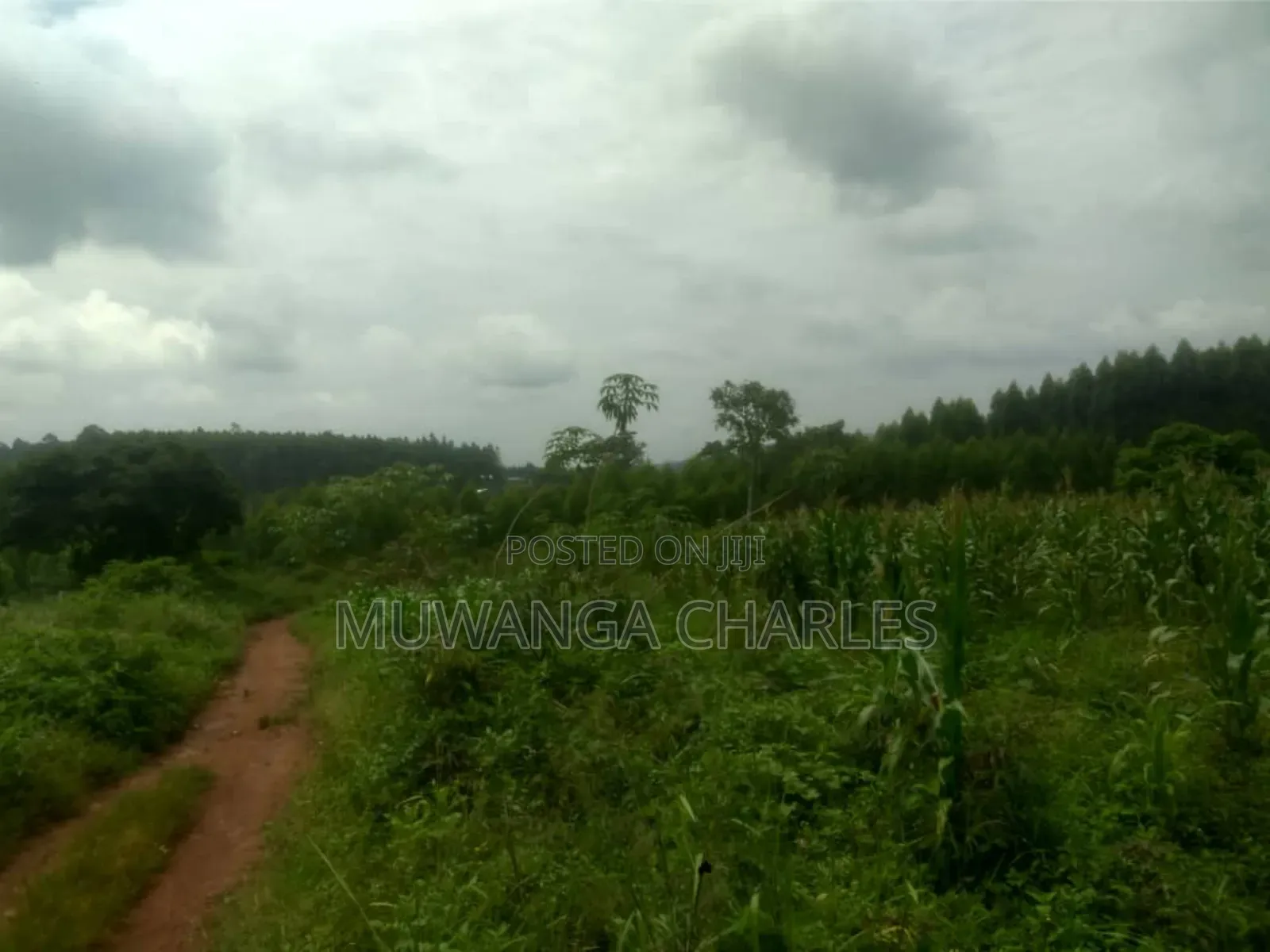Land for Sale in Luwero in Butuntumula
