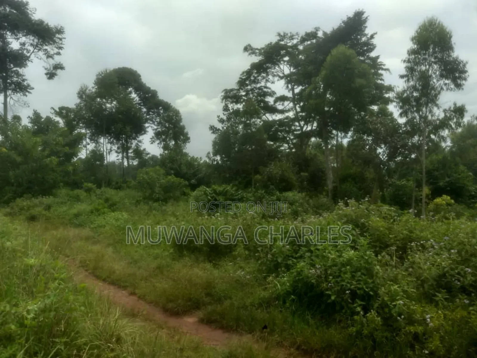 Land for Sale in Luwero in Butuntumula