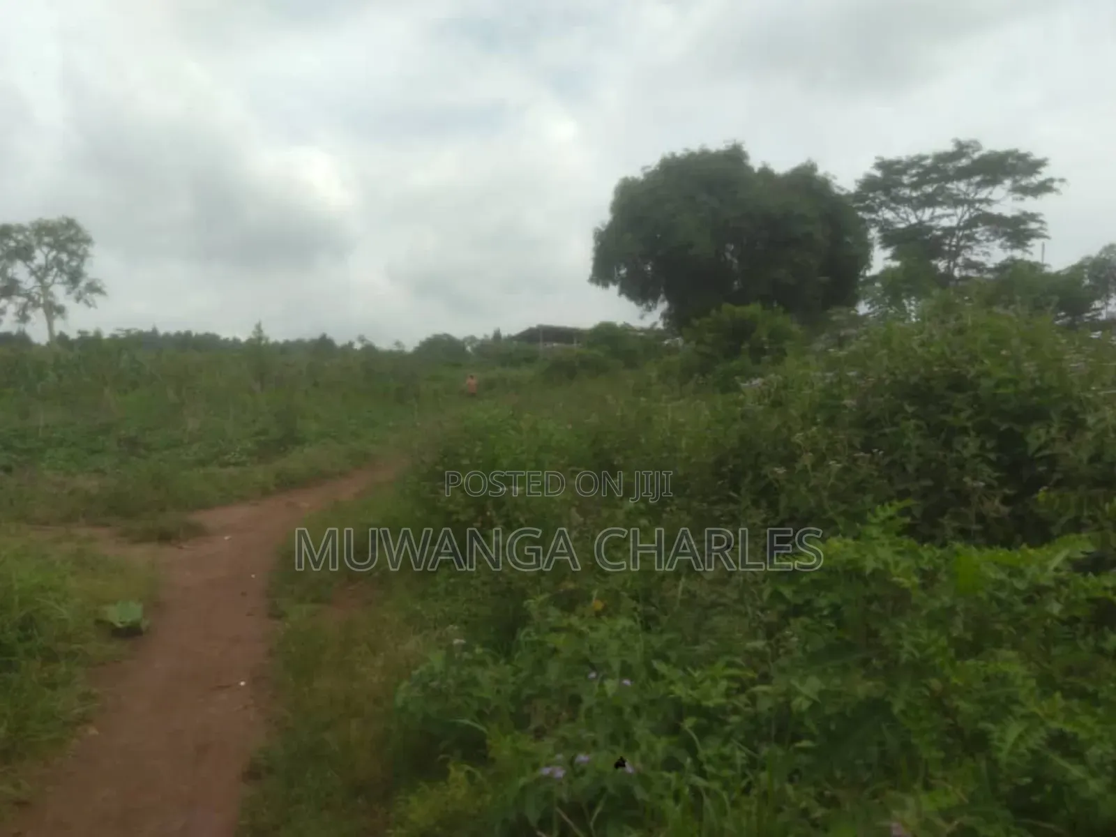 Land for Sale in Luwero in Butuntumula
