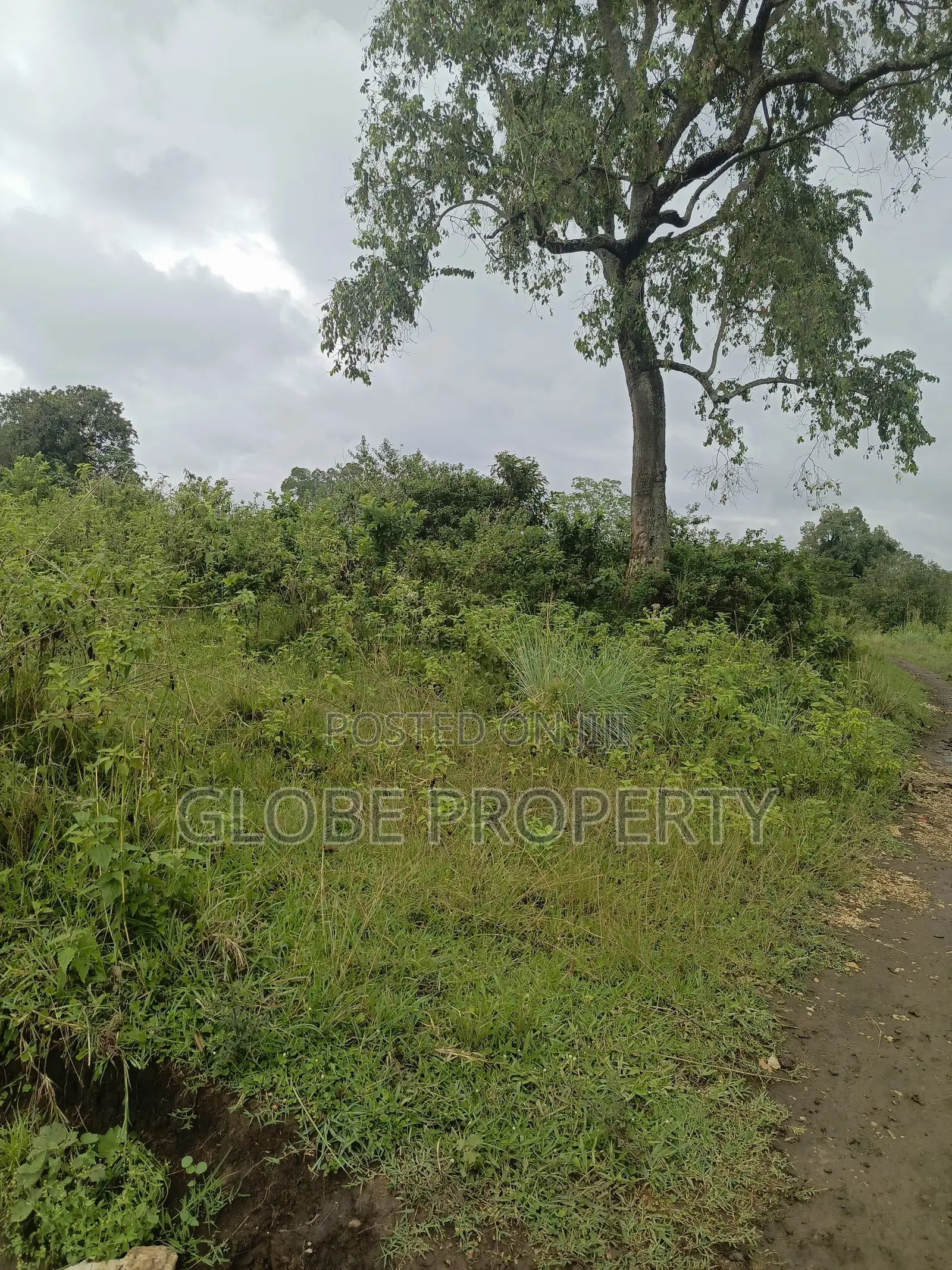1acre of Land for Sale in Semuto at 42m in Gombe