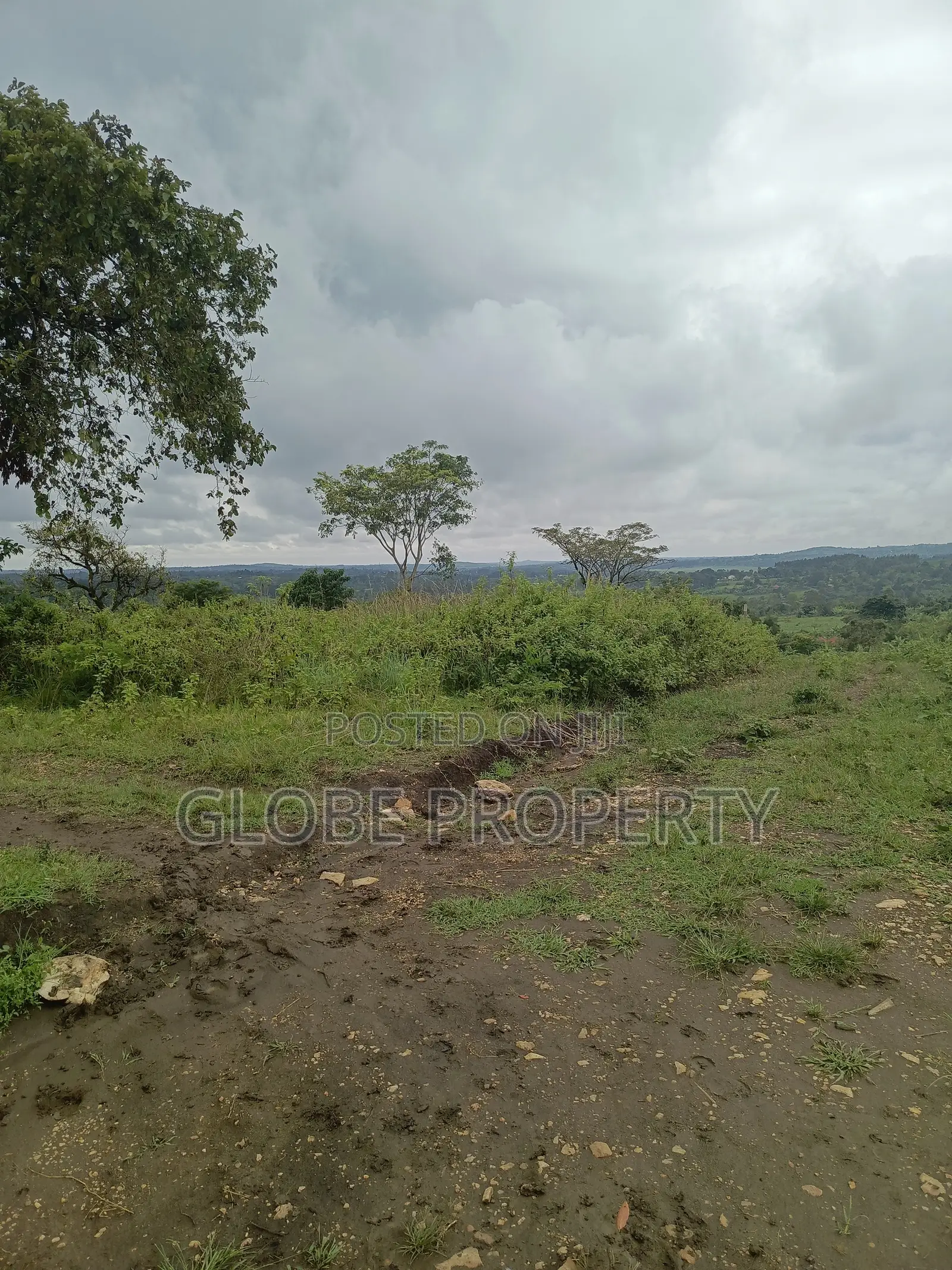 50x50 Plot for Sale in Migade Nabinaka, Gombe Division in Gombe