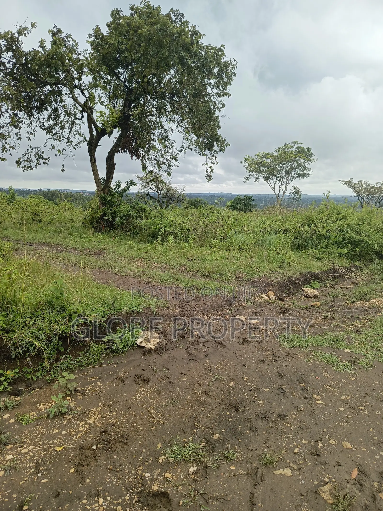 50x50 Plot for Sale in Migade Nabinaka, Gombe Division in Gombe