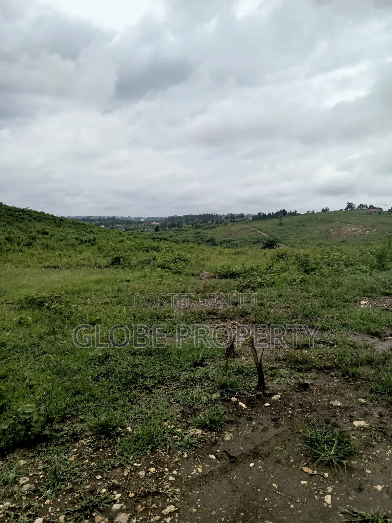 An Acre for Sale in Semuto at Only Ugx 35m in Gombe