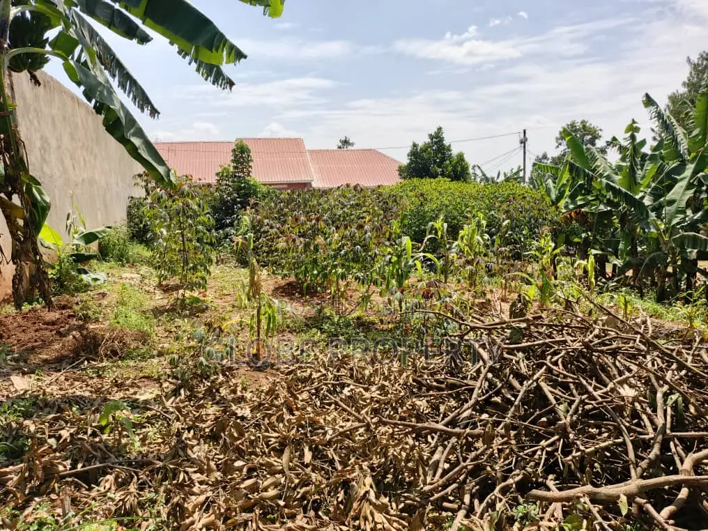 60x30 Plot for Sale in Kalagi in Mukono TC