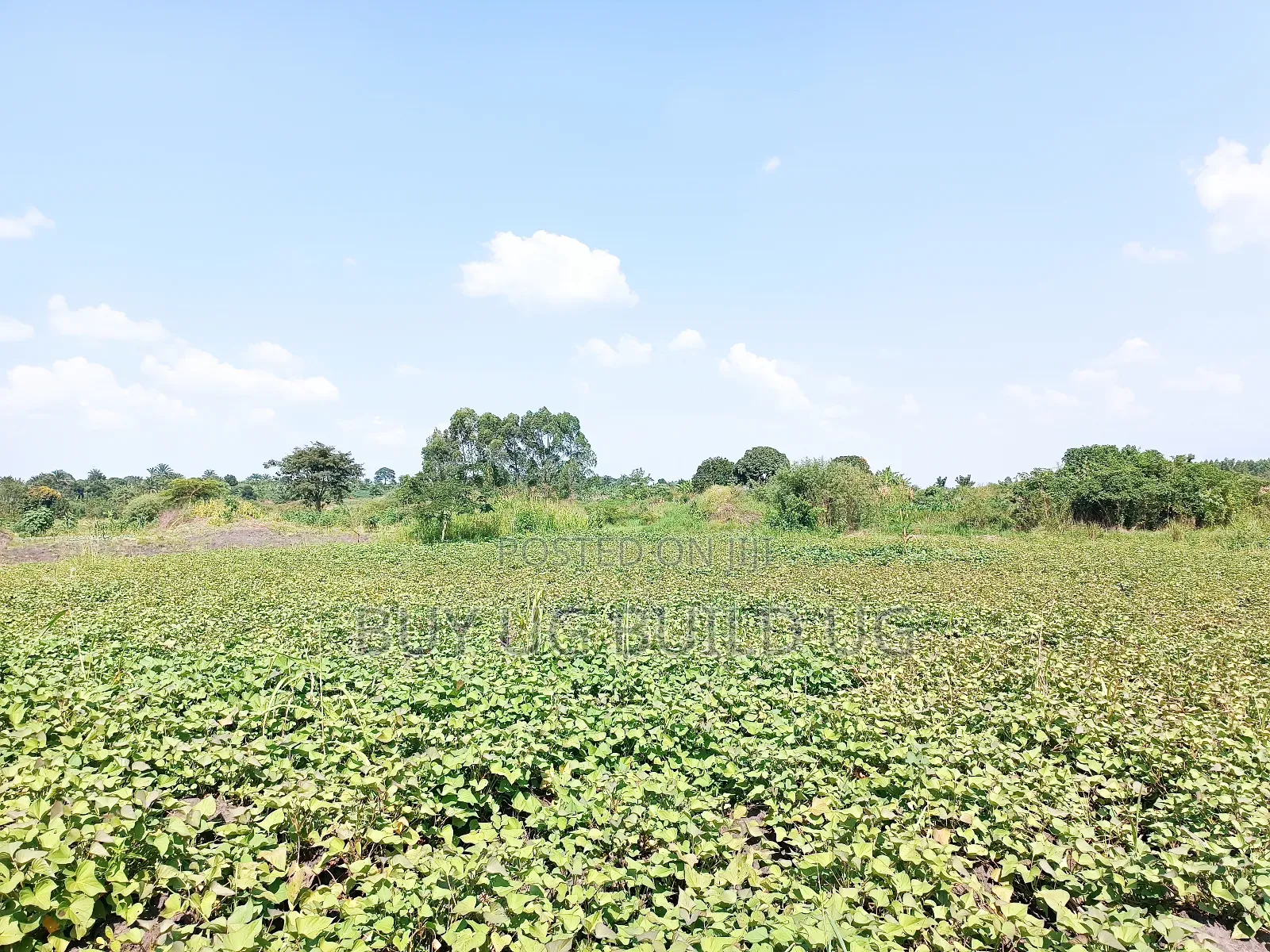 Quick Sale!
#5acres for Sale Gayaza - Zilobw at 13m in Zirobwe