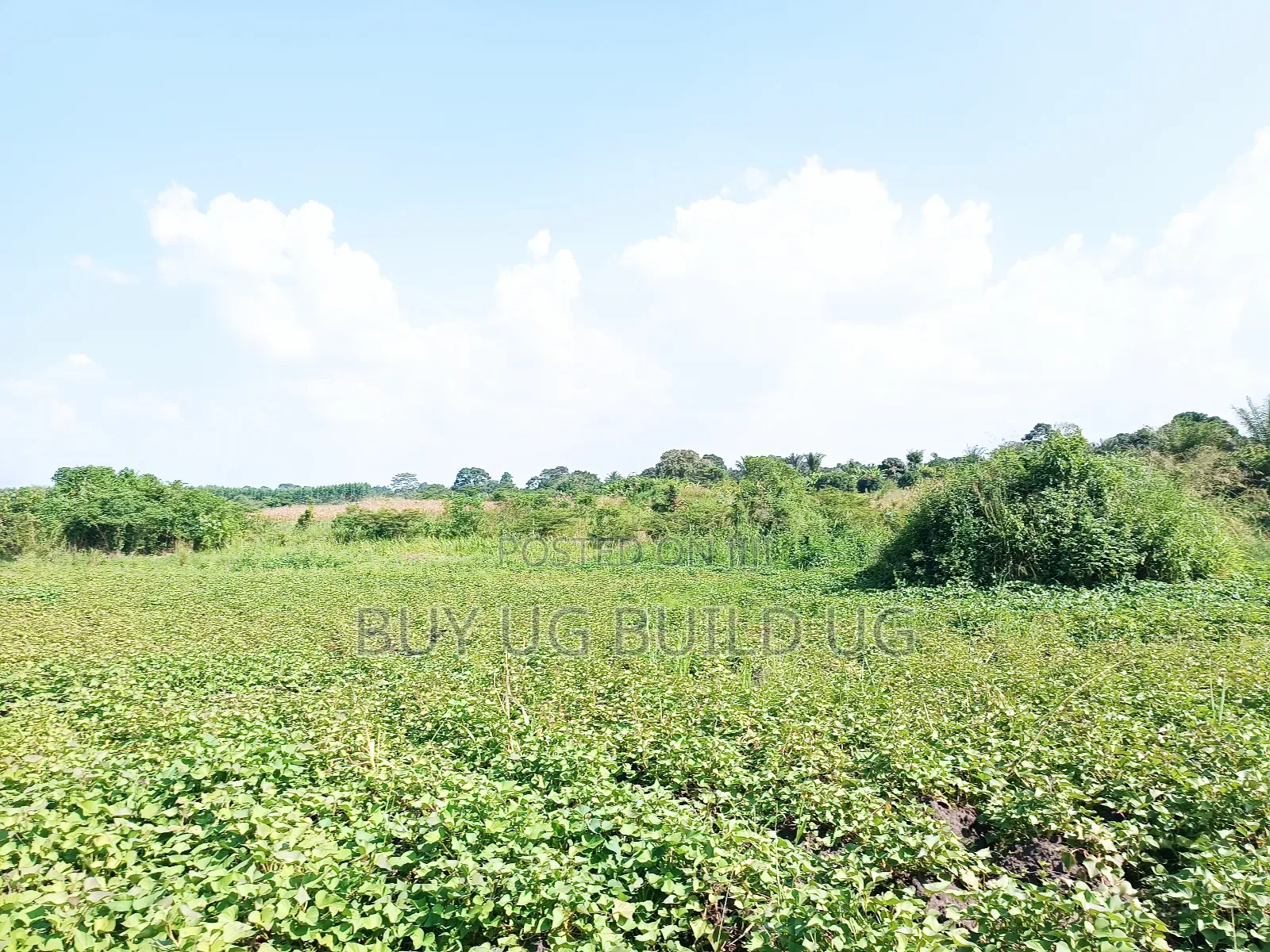 Quick Sale!
#5acres for Sale Gayaza - Zilobw at 13m in Zirobwe