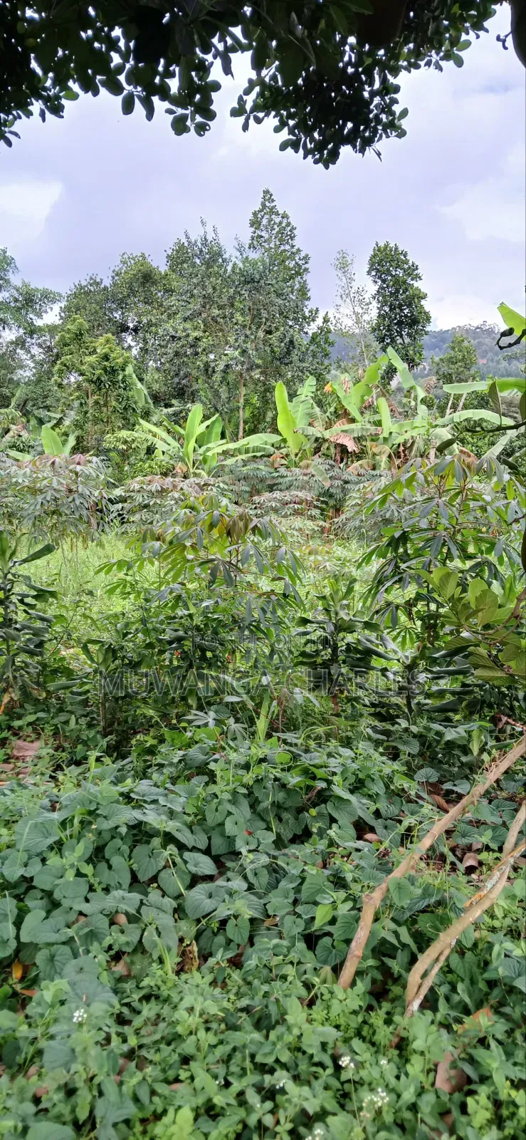 Plot for Sale in Gayaza in Division A