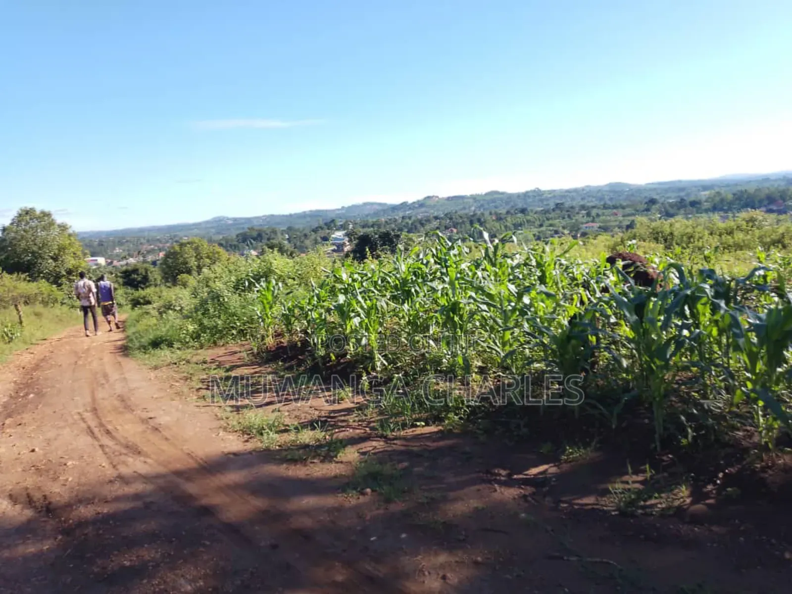 Plot for Sale in Gayaza in Division A