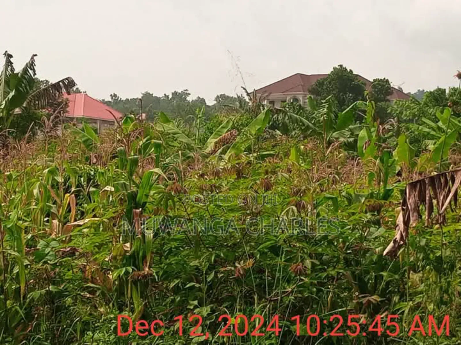 Plot for Sale in Namugongo in Division A
