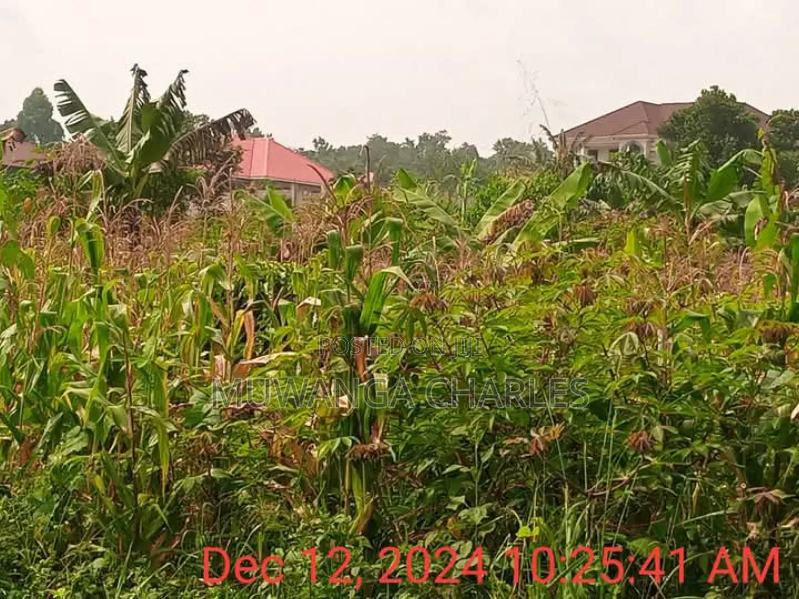 Plot for Sale in Namugongo in Division A