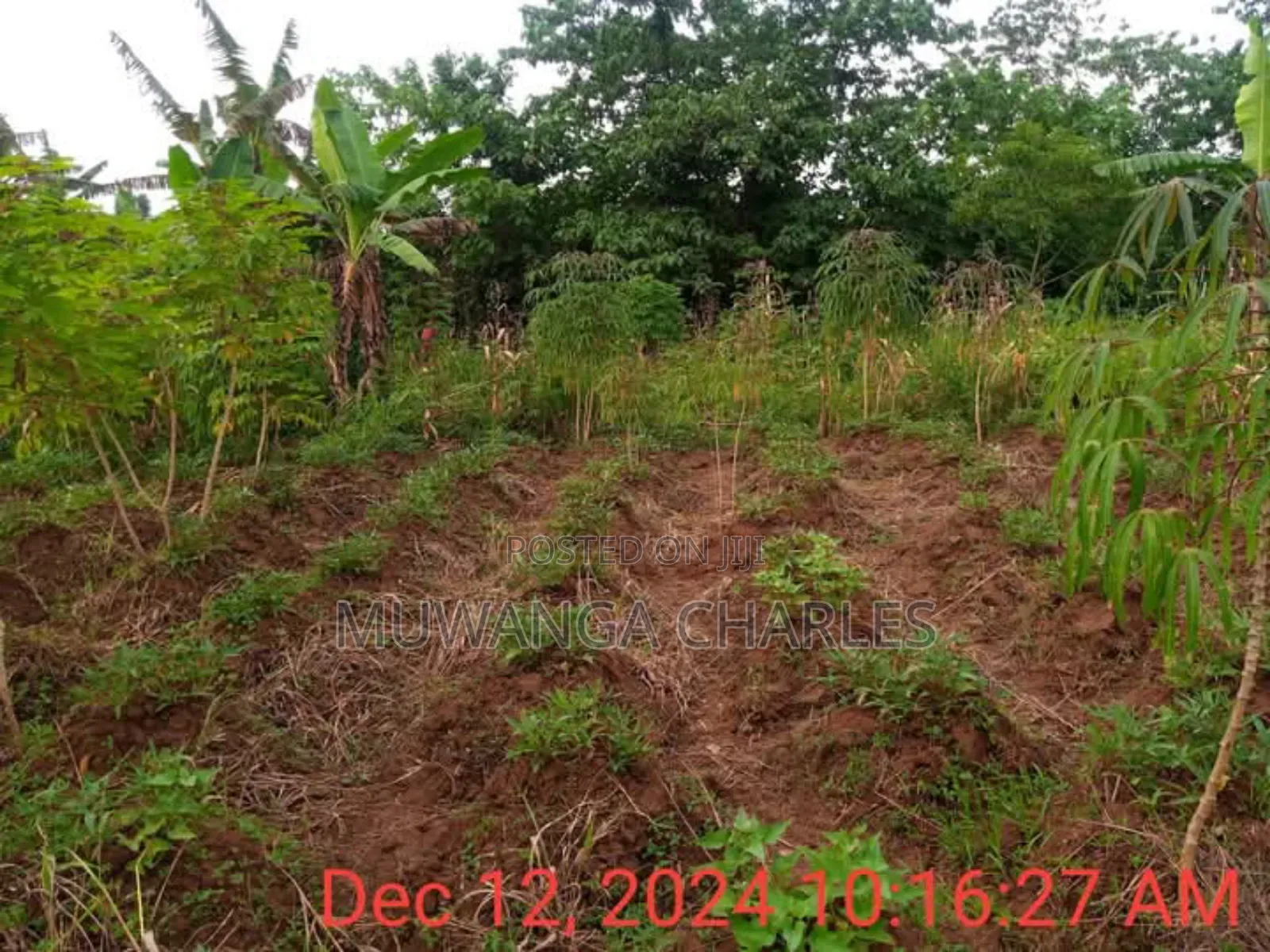 Plot for Sale in Namugongo in Division A