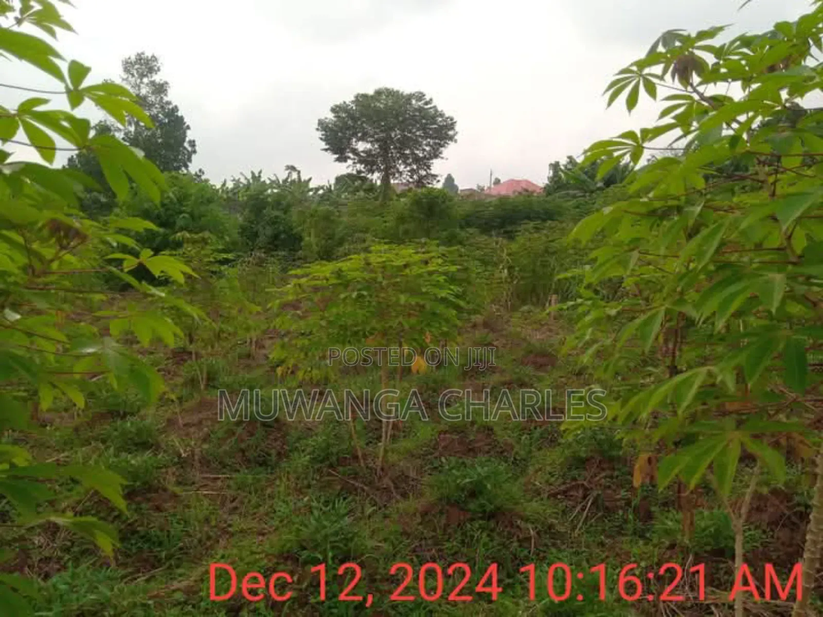 Plot for Sale in Namugongo in Division A