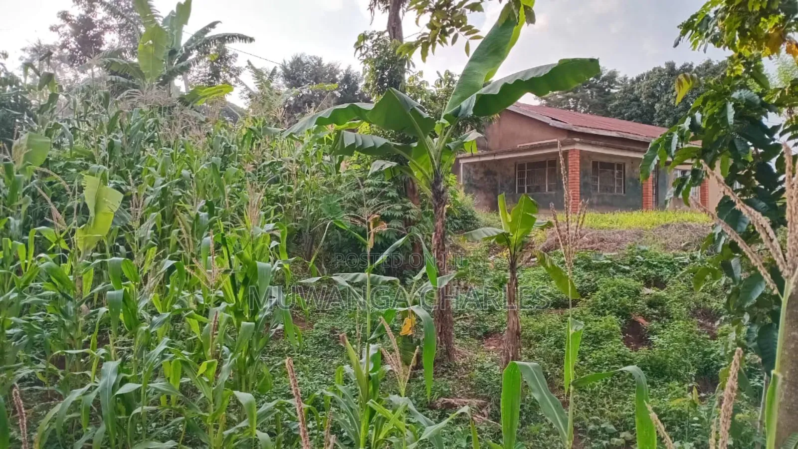 Plot for Sale in Kanyanya in Kawempe