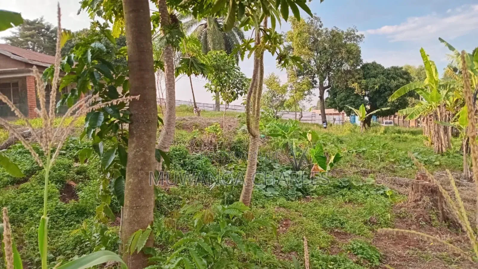 Plot for Sale in Kanyanya in Kawempe