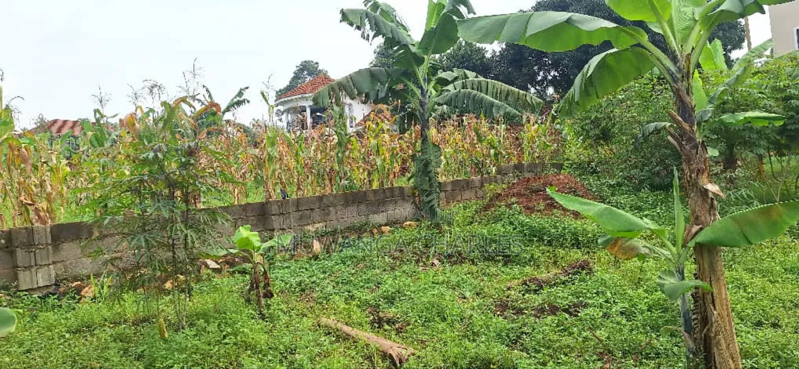 Plot for Sale in Kyanja in Nakawa