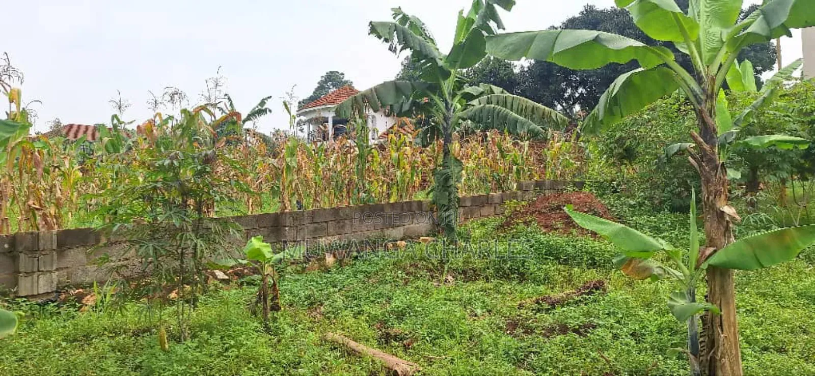 Plot for Sale in Kyanja in Nakawa