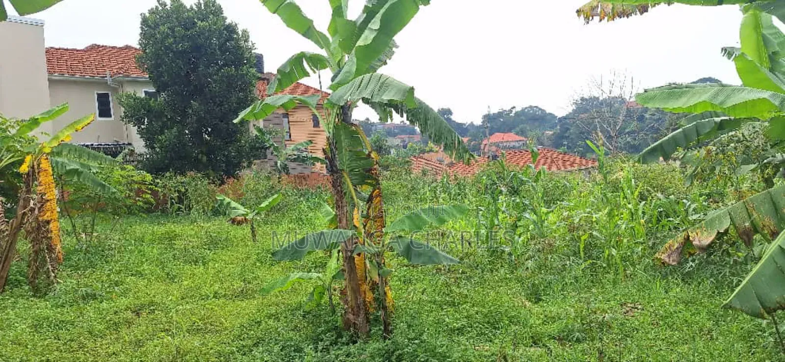 Plot for Sale in Kyanja in Nakawa