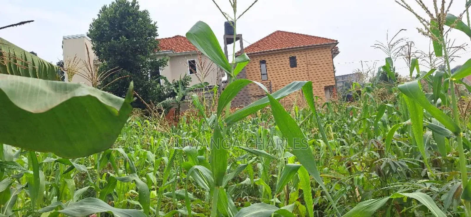 Plot for Sale in Kyanja in Nakawa