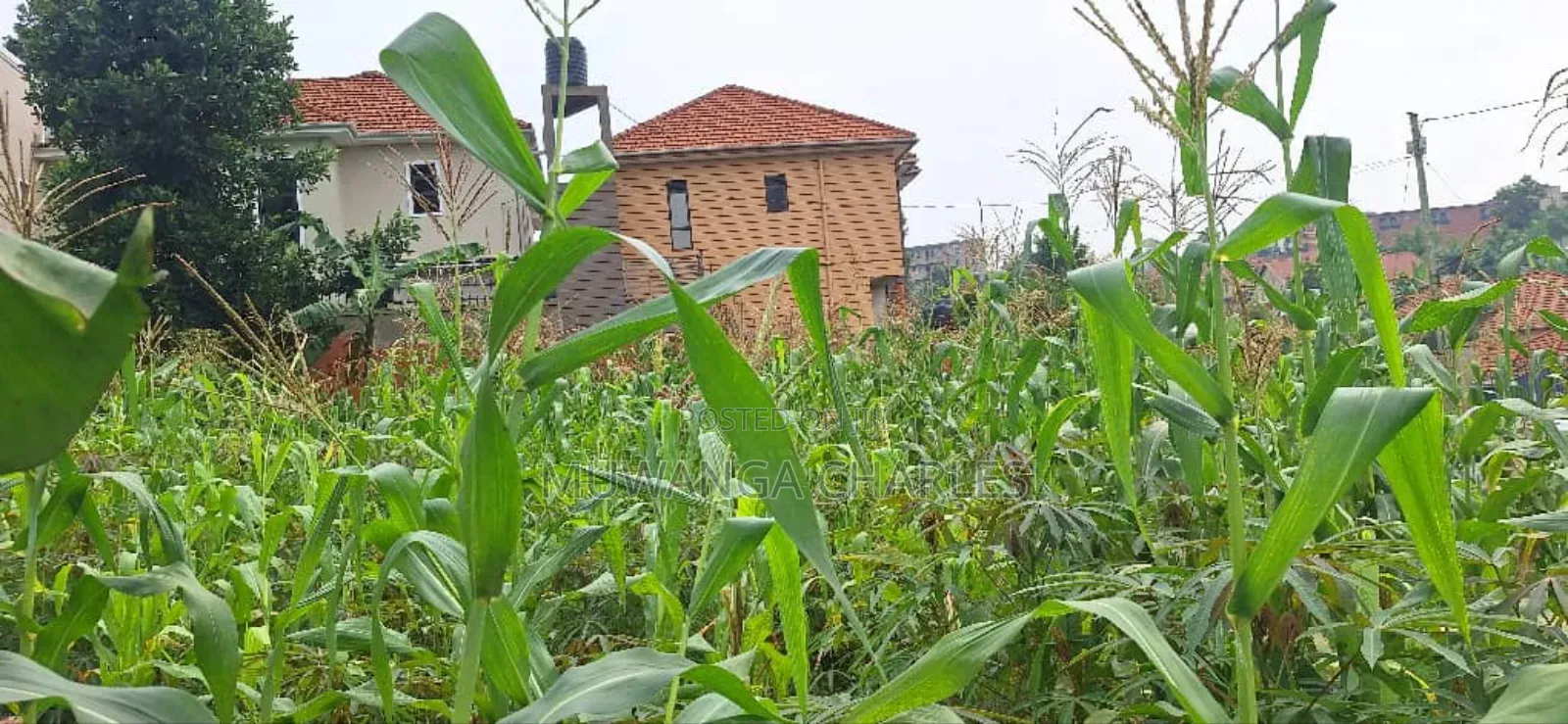 Plot for Sale in Kyanja in Nakawa