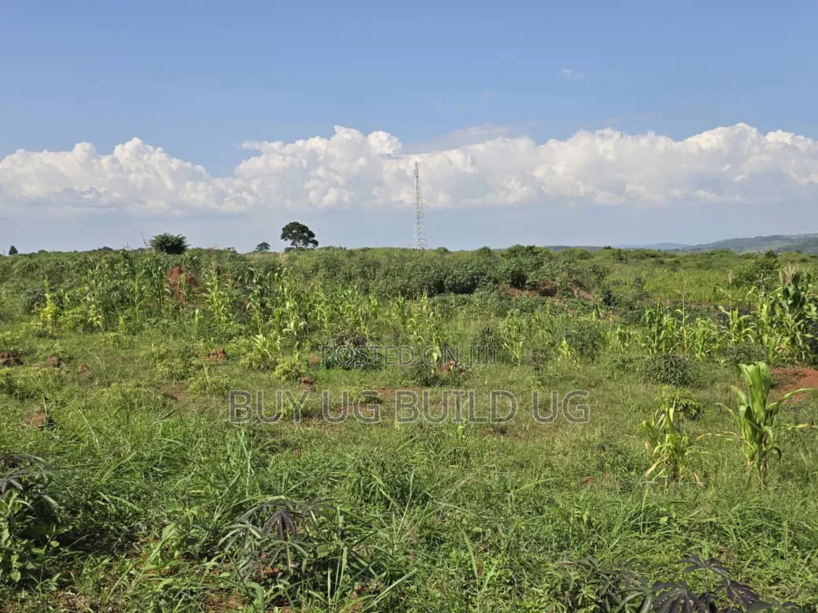 5 Acers of Land for Sale in Kiyinda ( Buikwe) Lake View 40m in Ntenjeru / Mukono