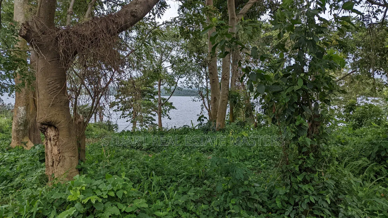10 Acres of Water Front View for Sale in Ntenjeru / Mukono