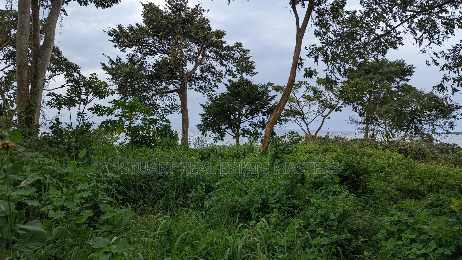 10 Acres of Water Front View for Sale in Ntenjeru / Mukono