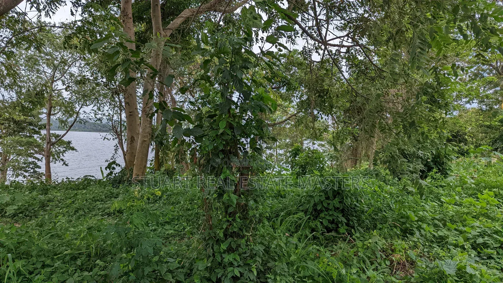 10 Acres of Water Front View for Sale in Ntenjeru / Mukono