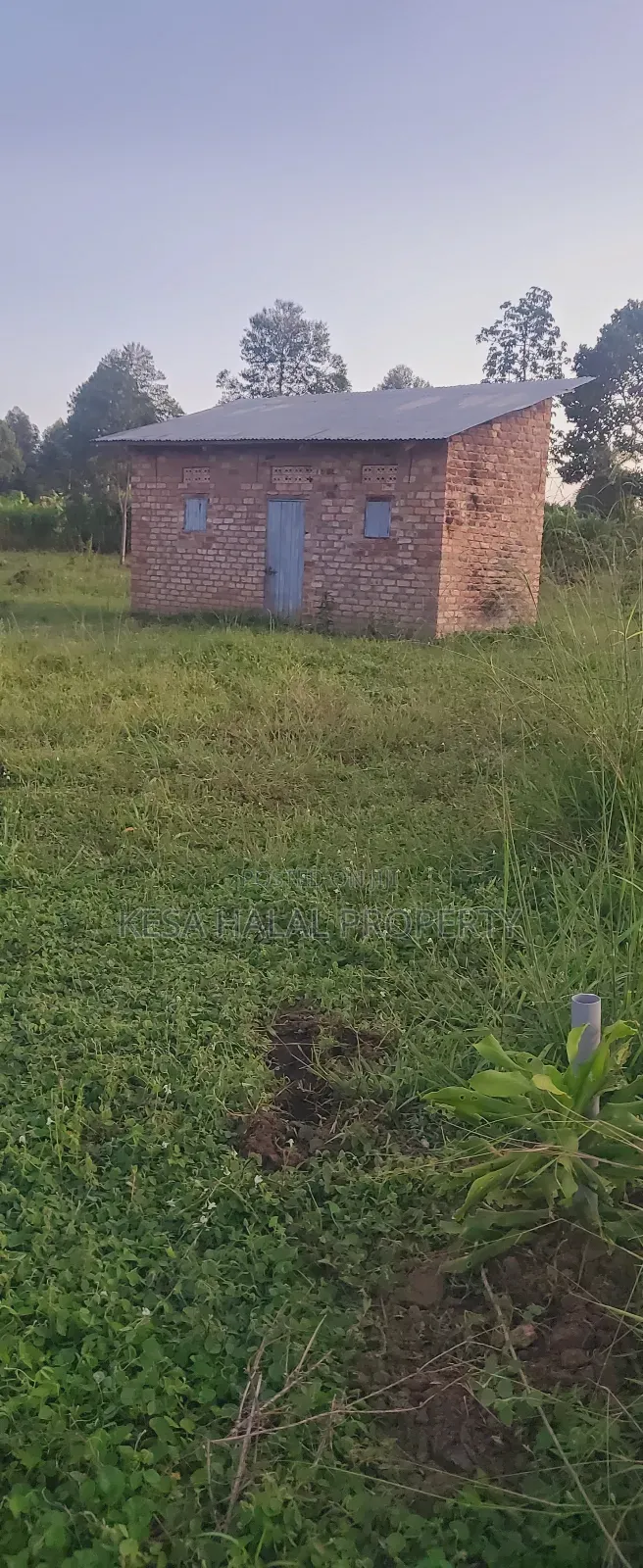 Plots in Lukaya Bulingo at 4M Per Plot 50X100 in Mukungwe