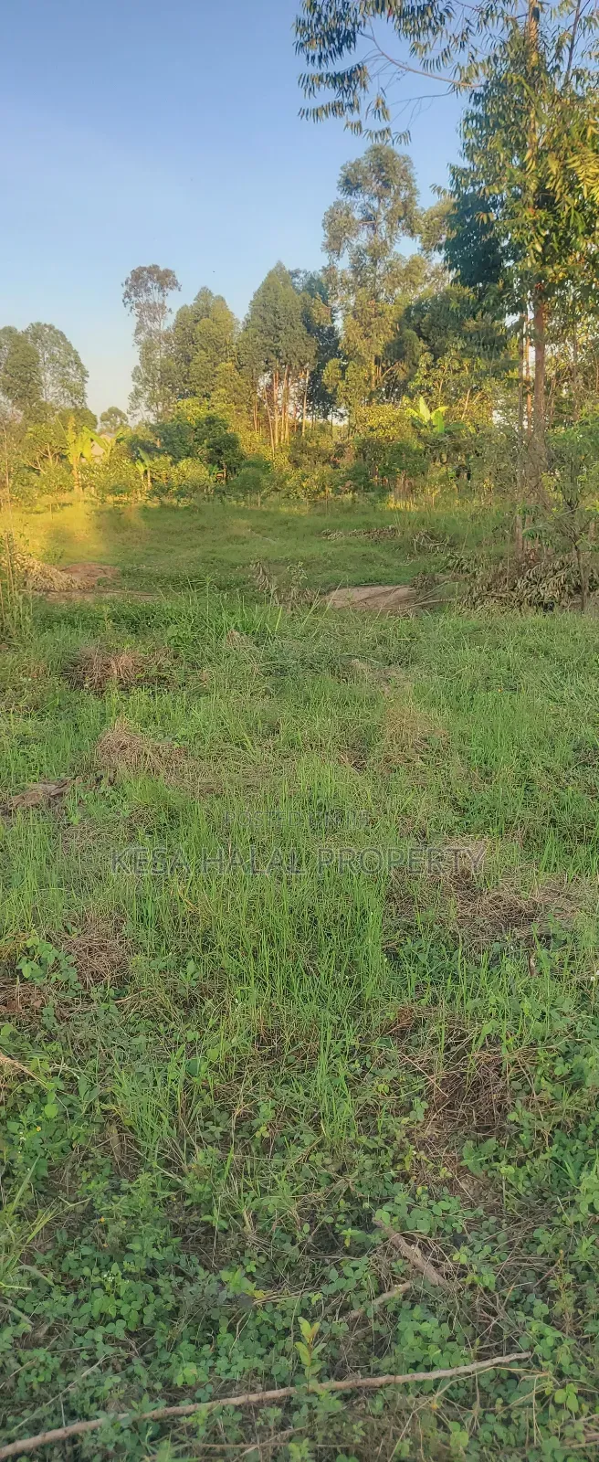 Plots in Lukaya Bulingo at 4M Per Plot 50X100 in Mukungwe