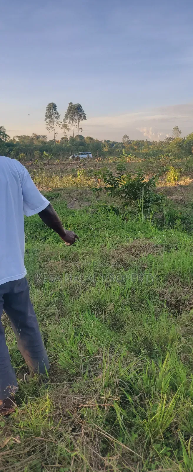 Plots in Lukaya Bulingo at 4M Per Plot 50X100 in Mukungwe