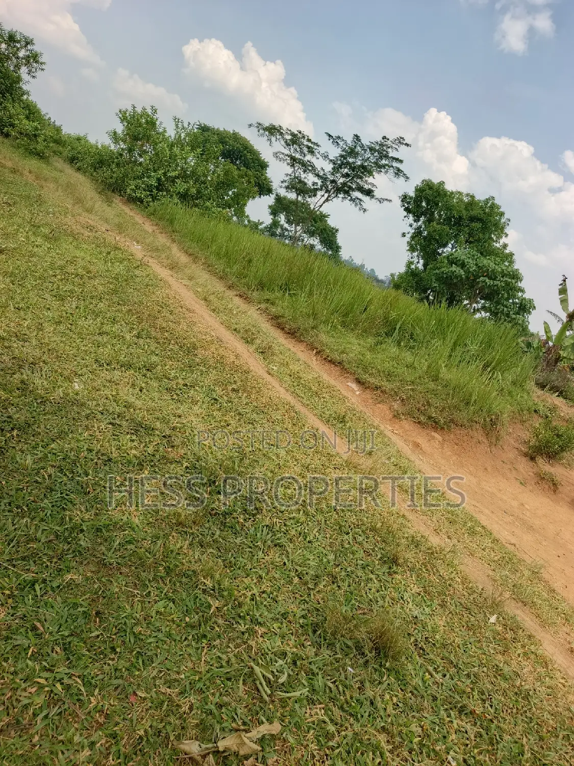 Agricultural Land on Sale in Kyenjojo