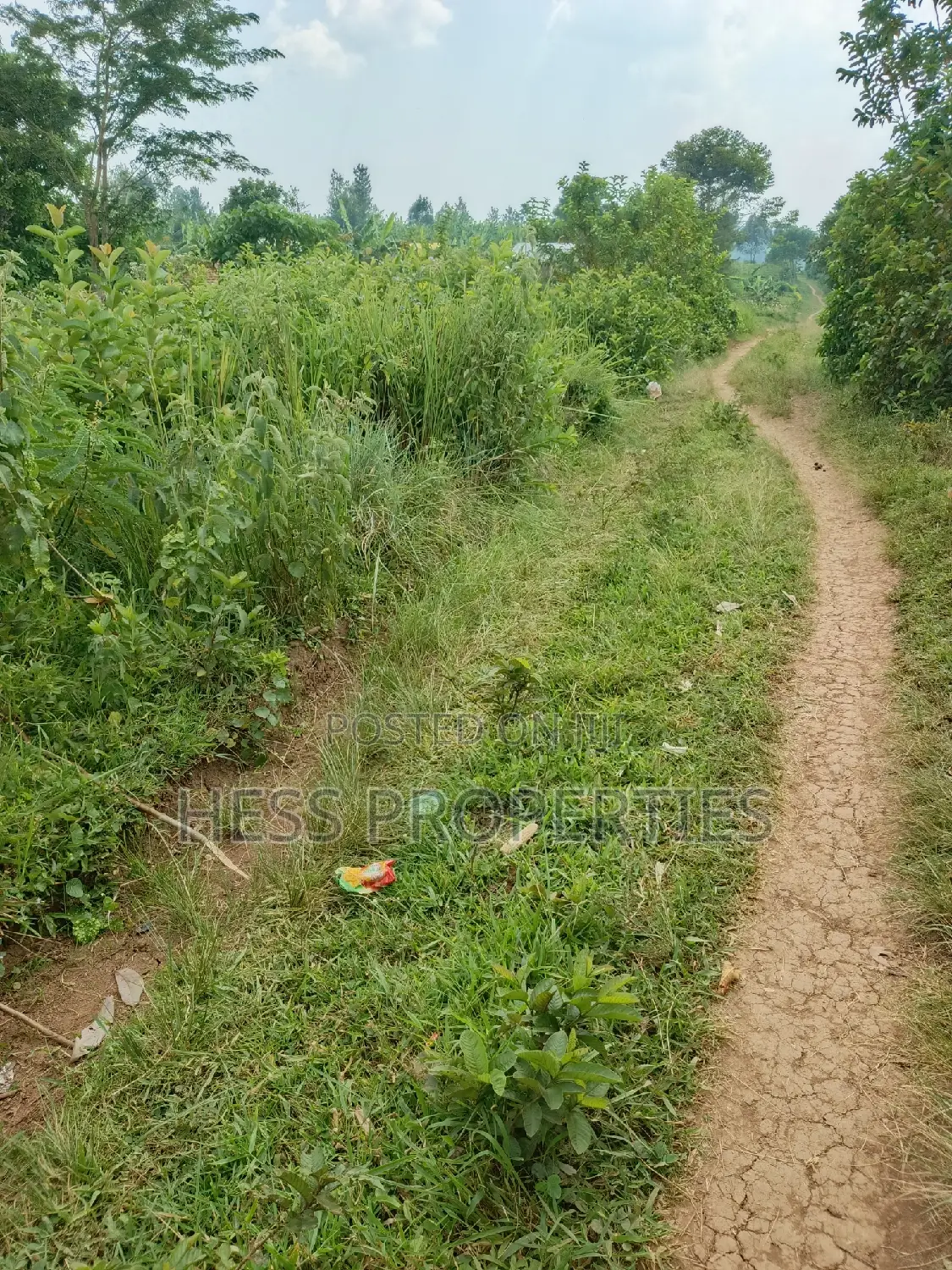 Agricultural Land on Sale in Kyenjojo