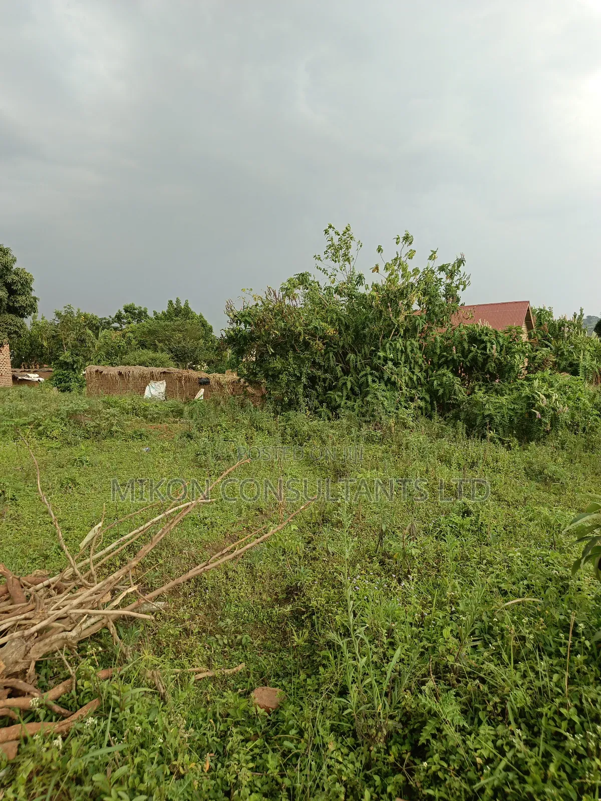 50 by 100 FTS Pot on Sale in Matuga Kavule in Gombe
