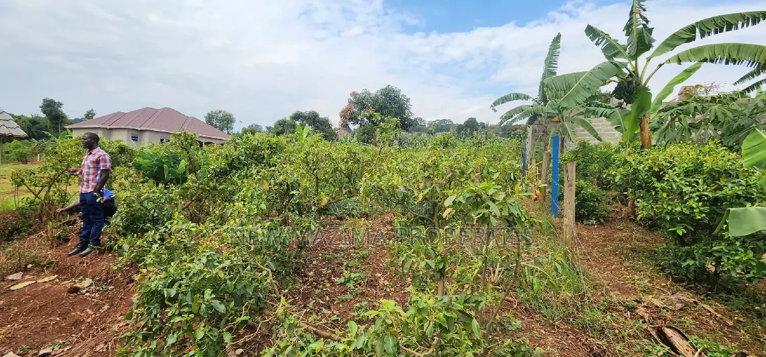 Very Sweet Deal of 31 Decimals on Forcedsale in Mpigi Kabira in Division A