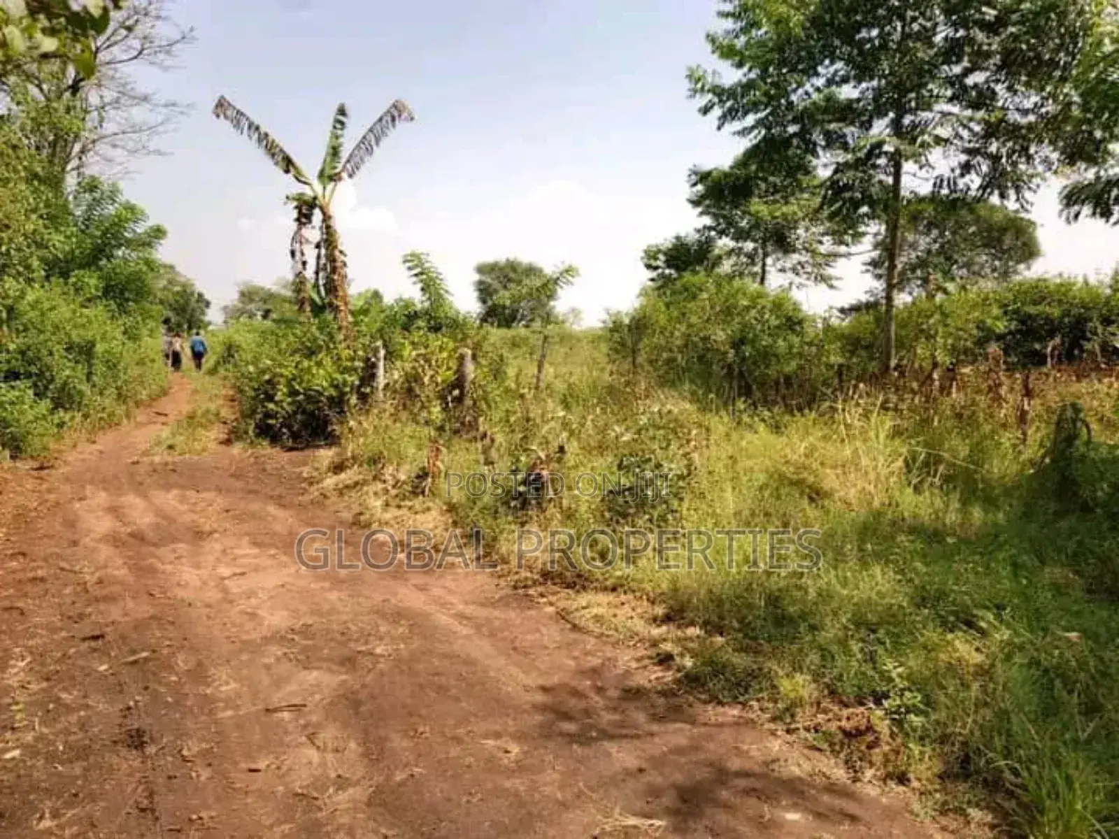 Luwero Five Acres for Sale in Central Division