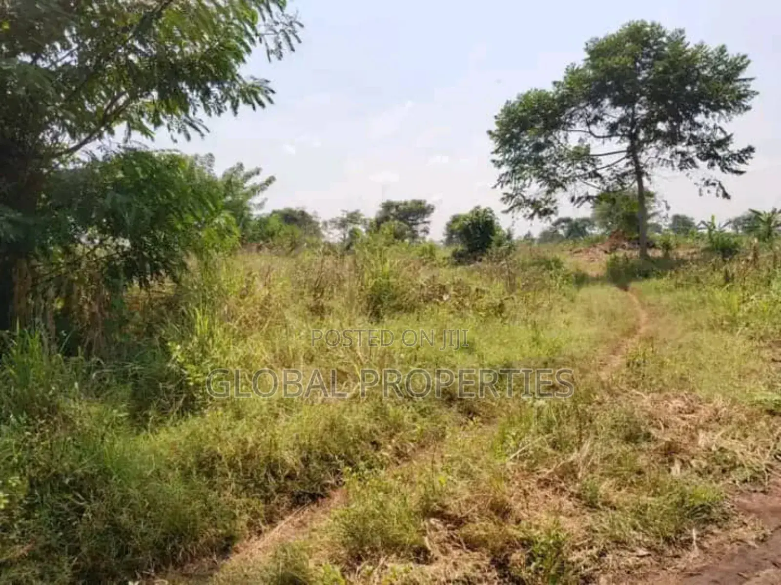 Luwero Five Acres for Sale in Central Division