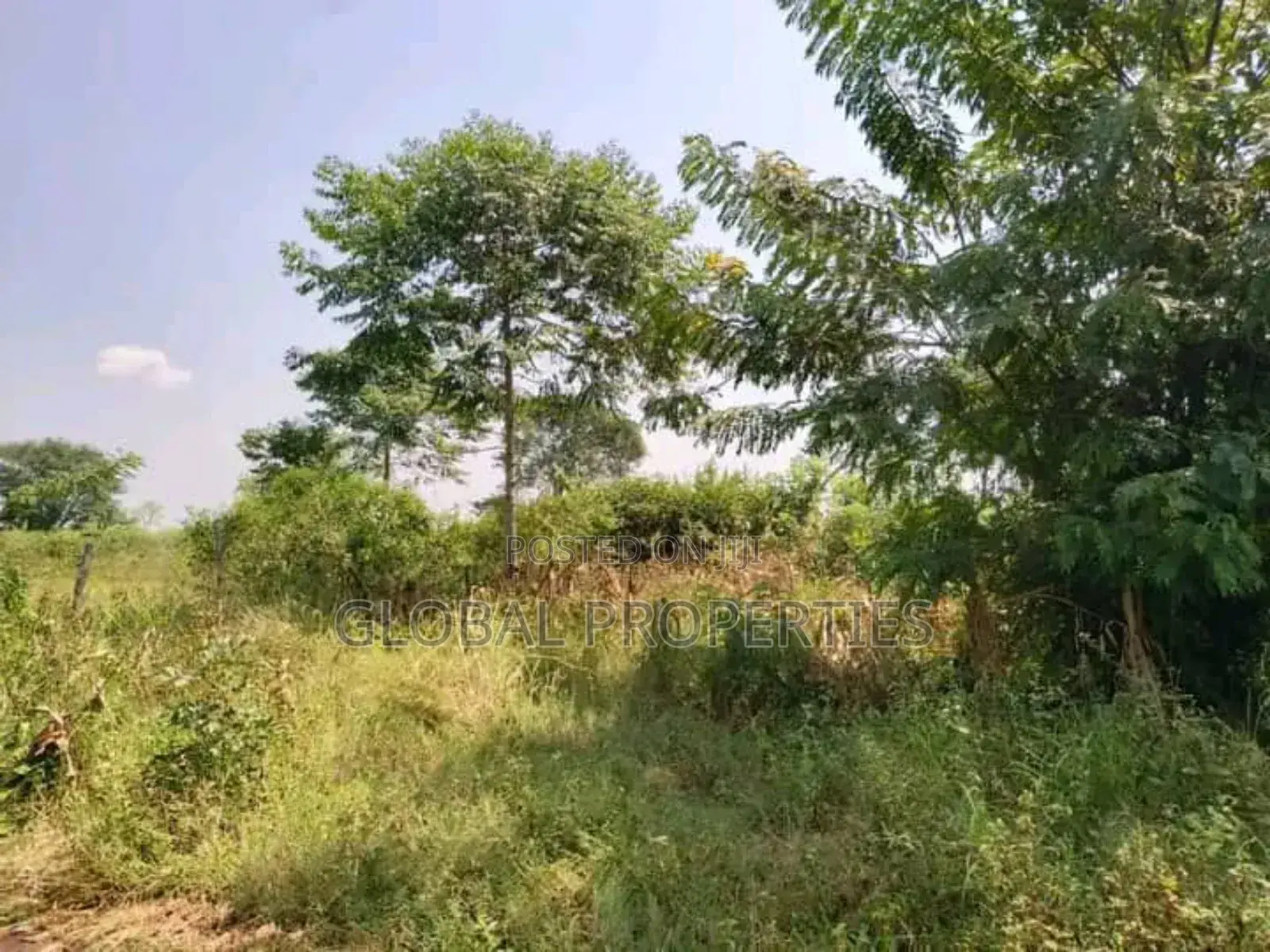 Luwero Five Acres for Sale in Central Division
