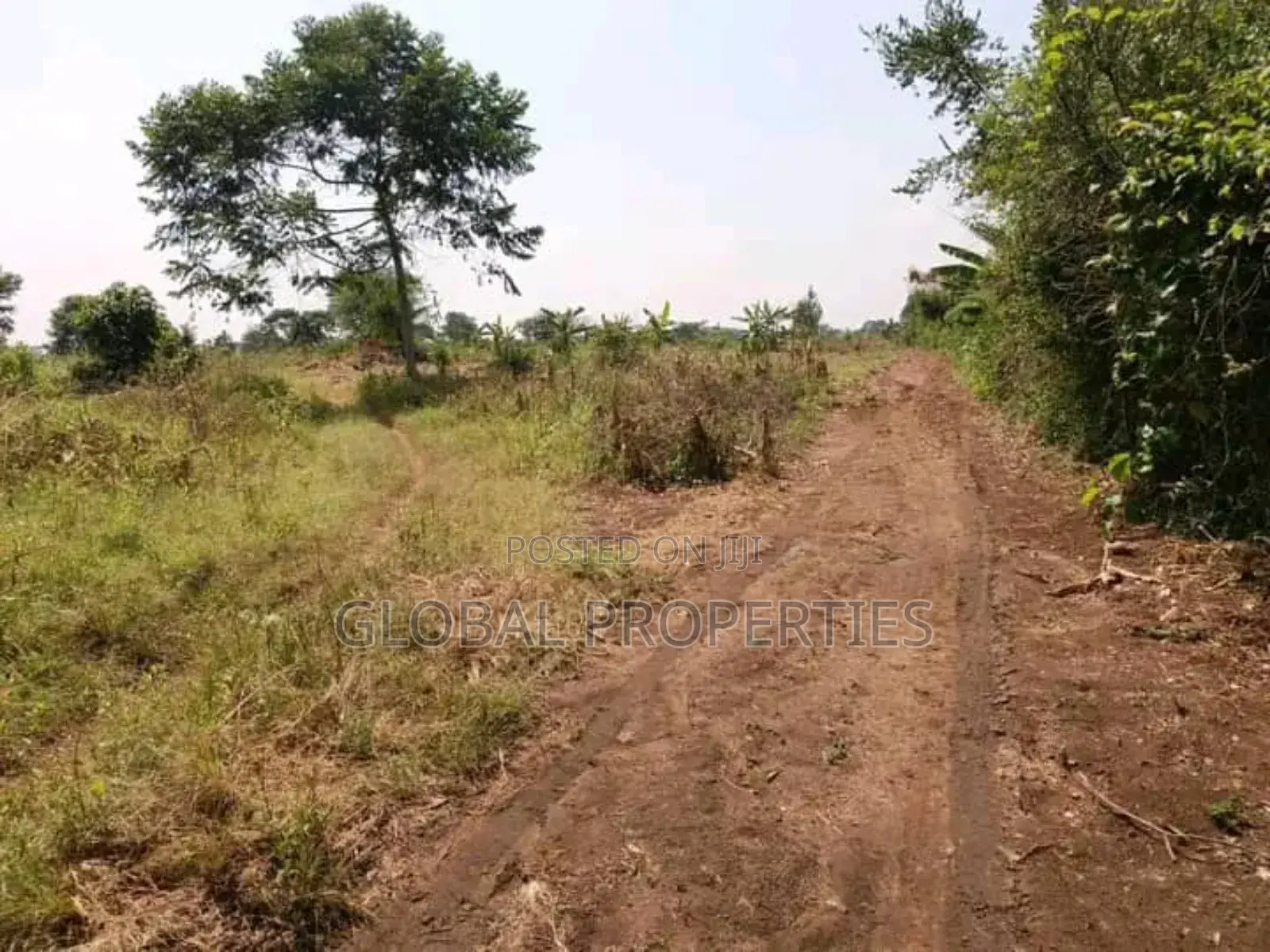 Luwero Five Acres for Sale in Central Division