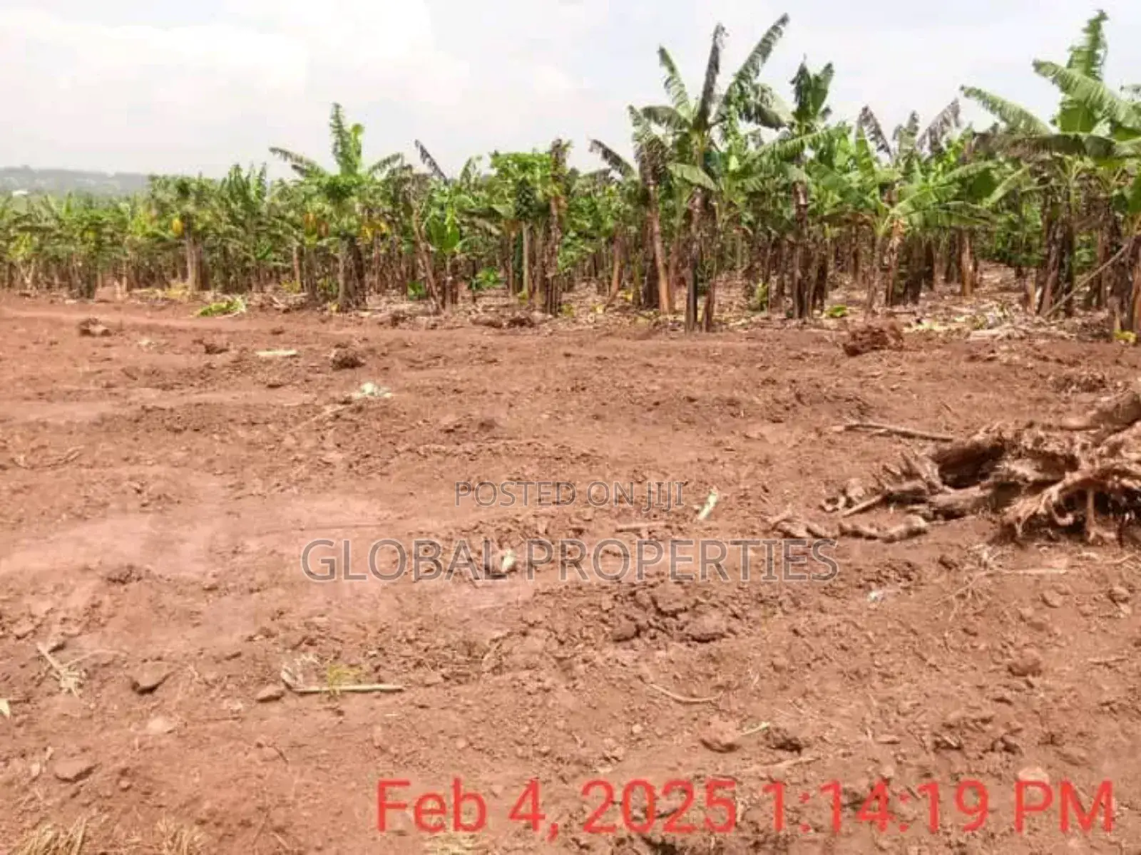 Namugongo Plot for Sale in Central Division