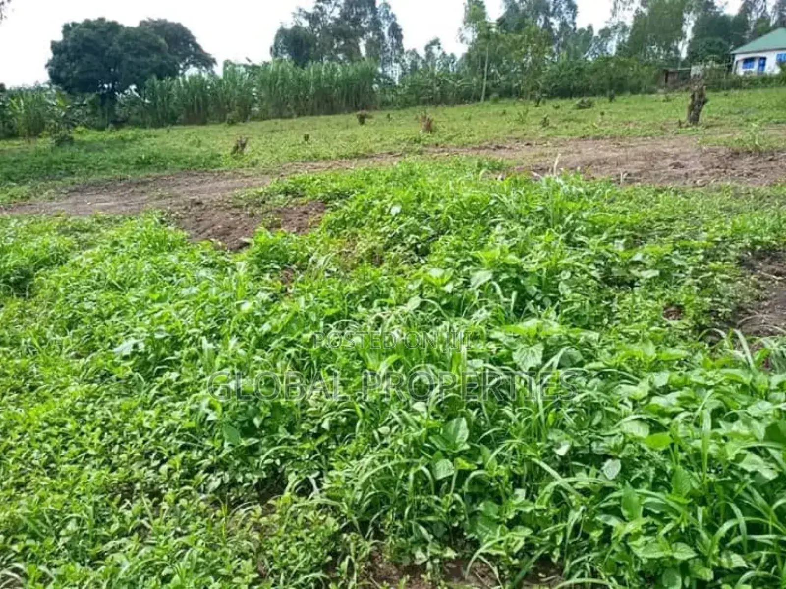 Wakiso Plot for Sale in Central Division