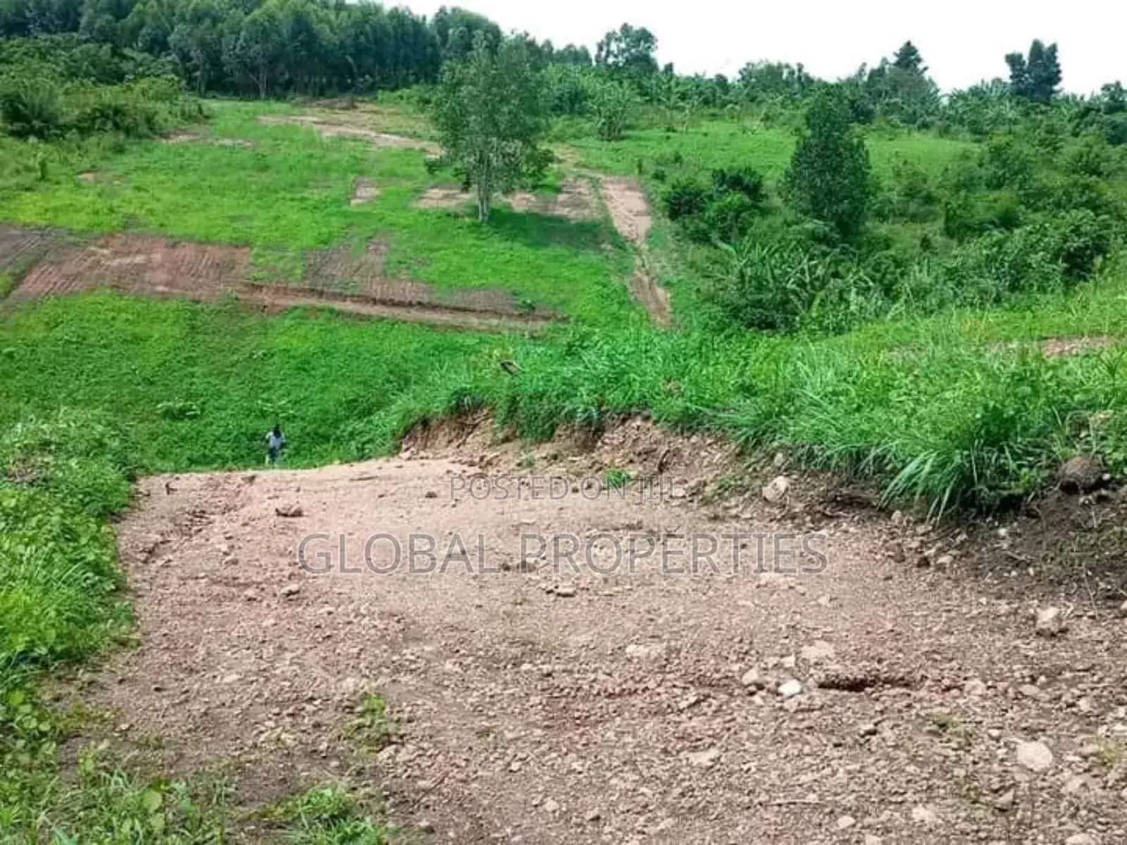 Wakiso Plot for Sale in Central Division