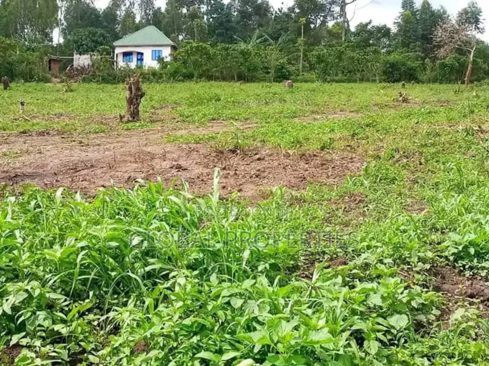Wakiso Plot for Sale in Central Division