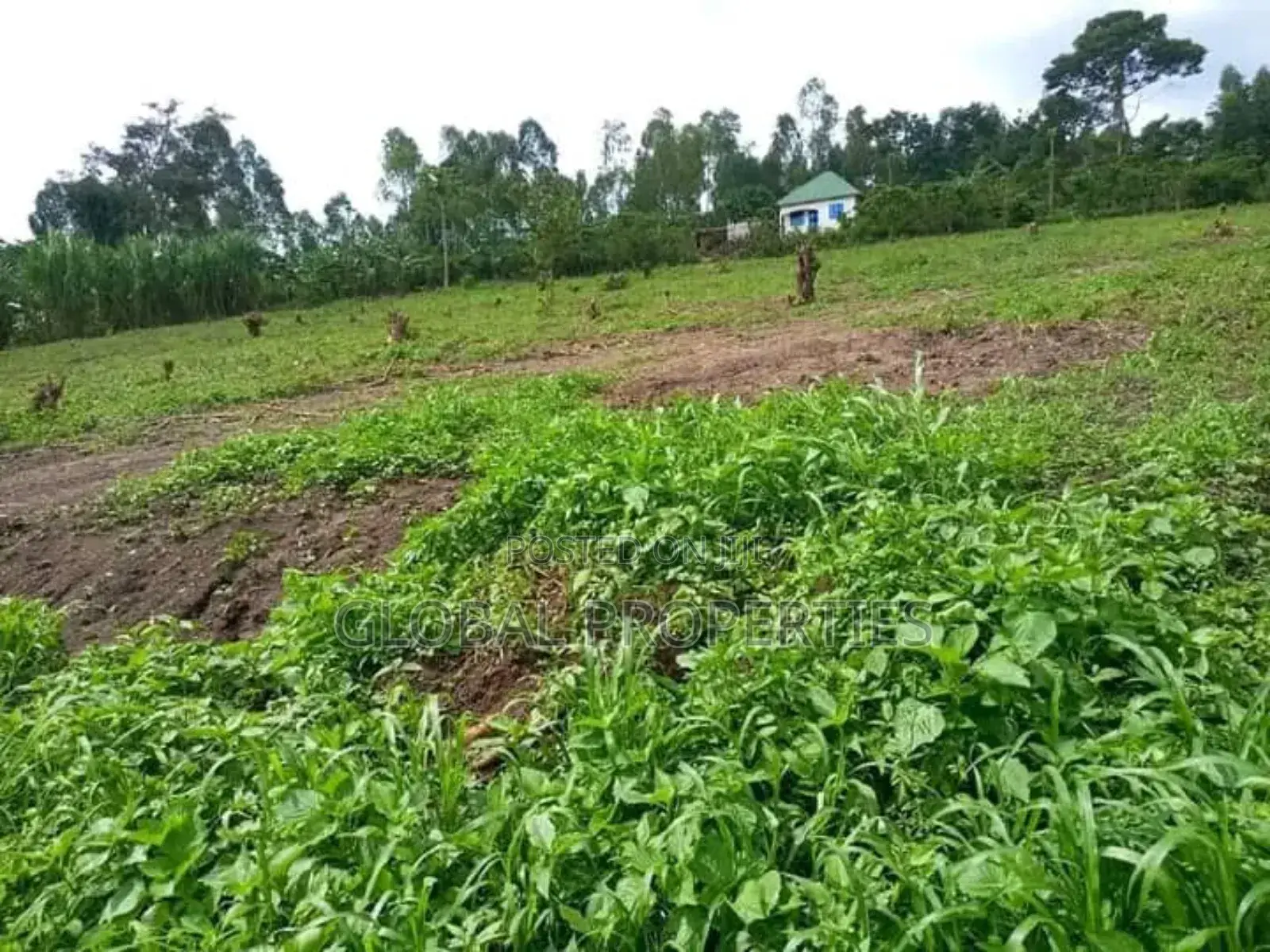 Wakiso Plot for Sale in Central Division