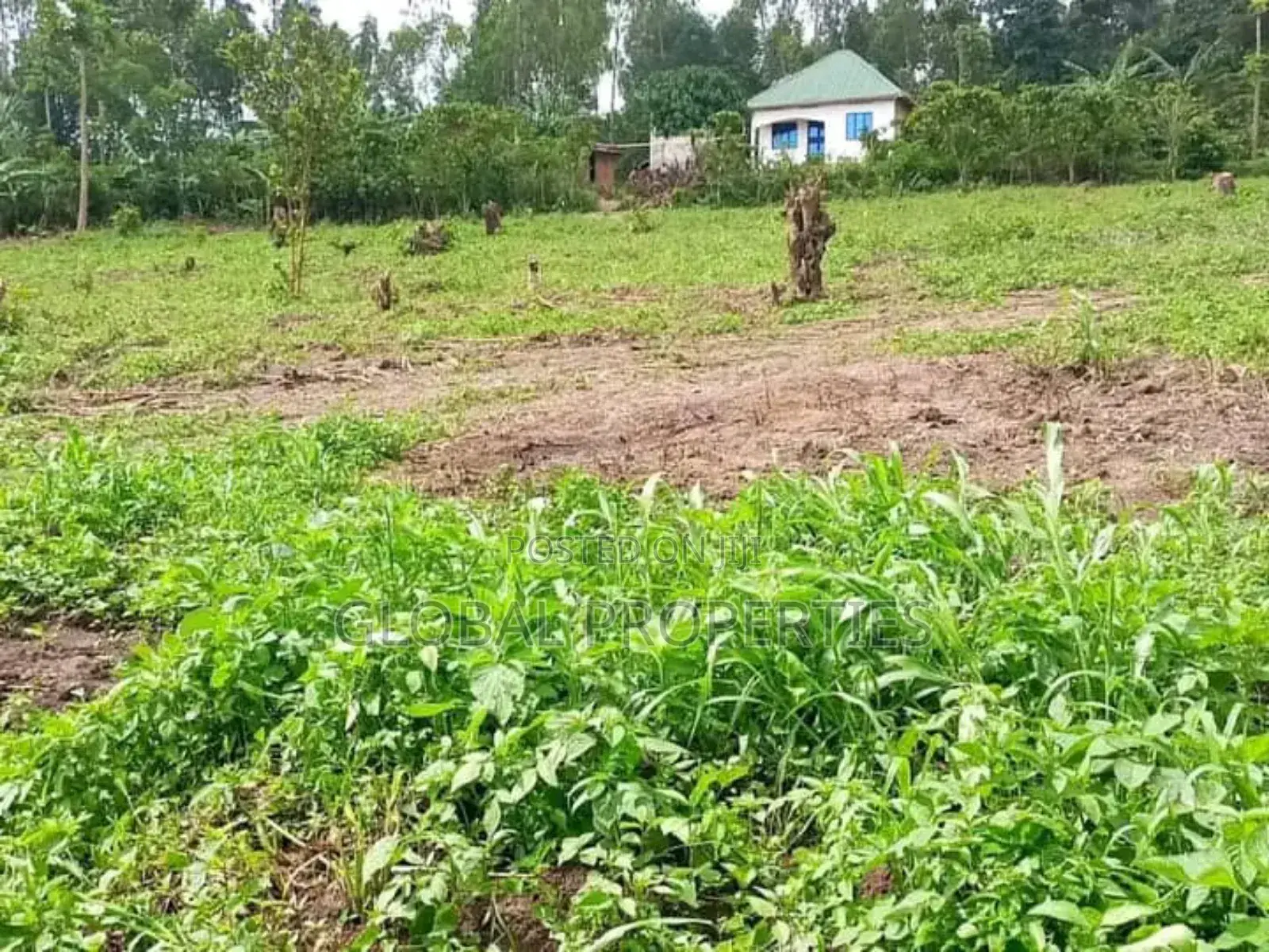 Wakiso Plot for Sale in Central Division