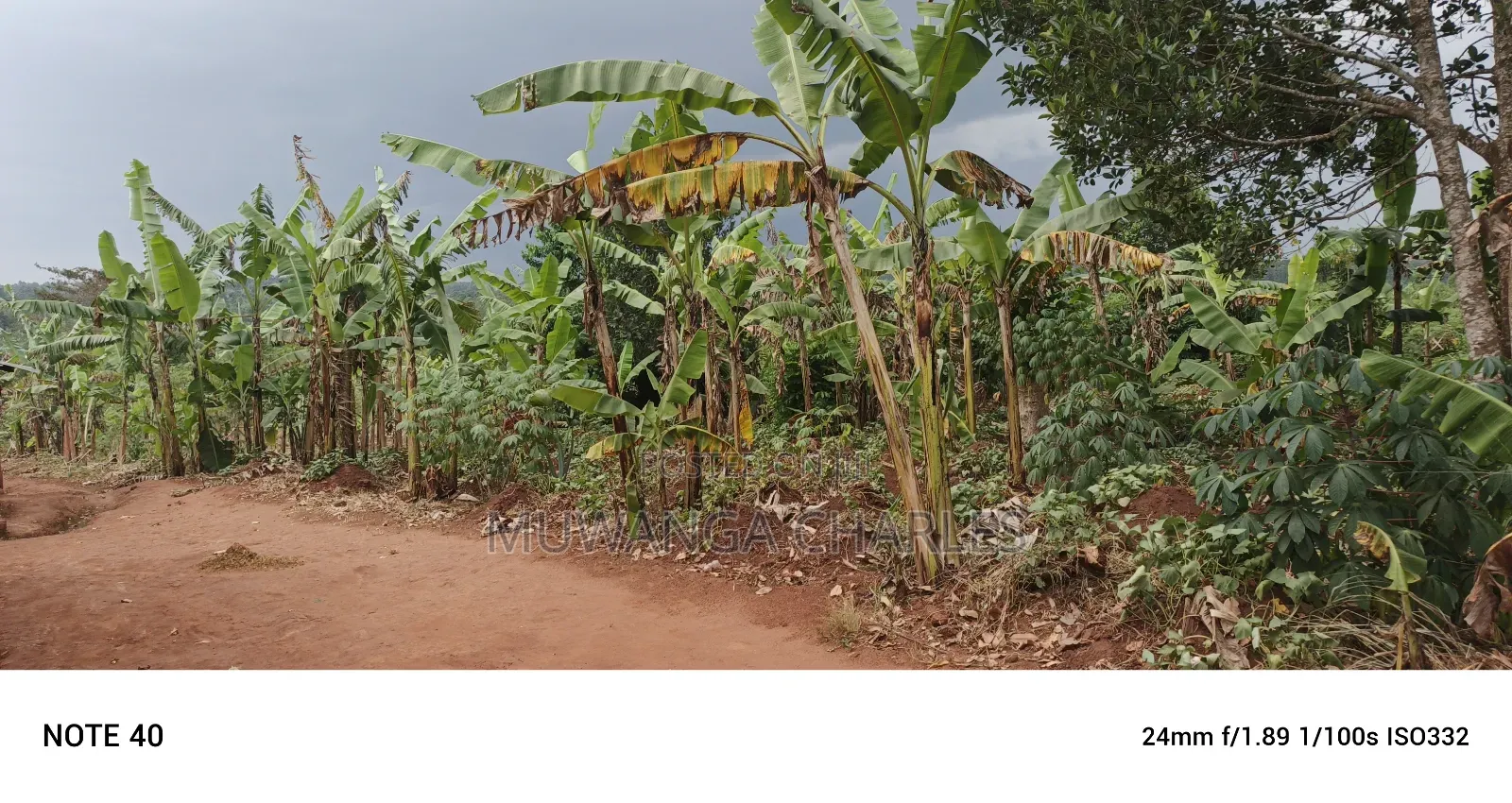 50decimals of Land for Sale in Gayaza Makenke in Nangabo