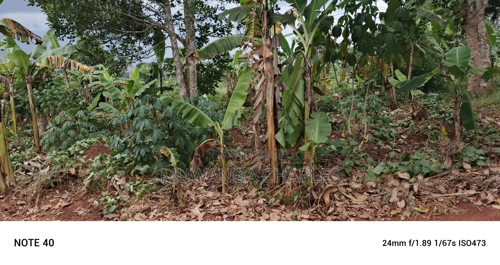 50decimals of Land for Sale in Gayaza Makenke in Nangabo