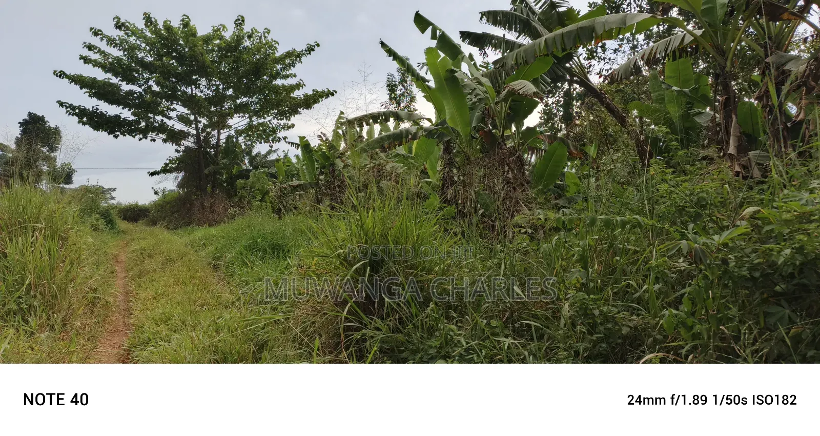 50decimals of Land for Sale in Gayaza Makenke in Nangabo