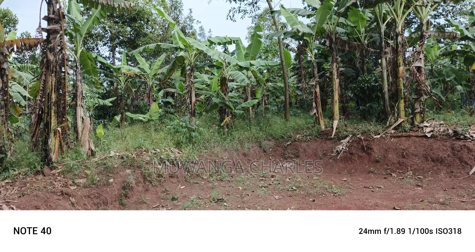 50decimals of Land for Sale in Gayaza Makenke in Nangabo
